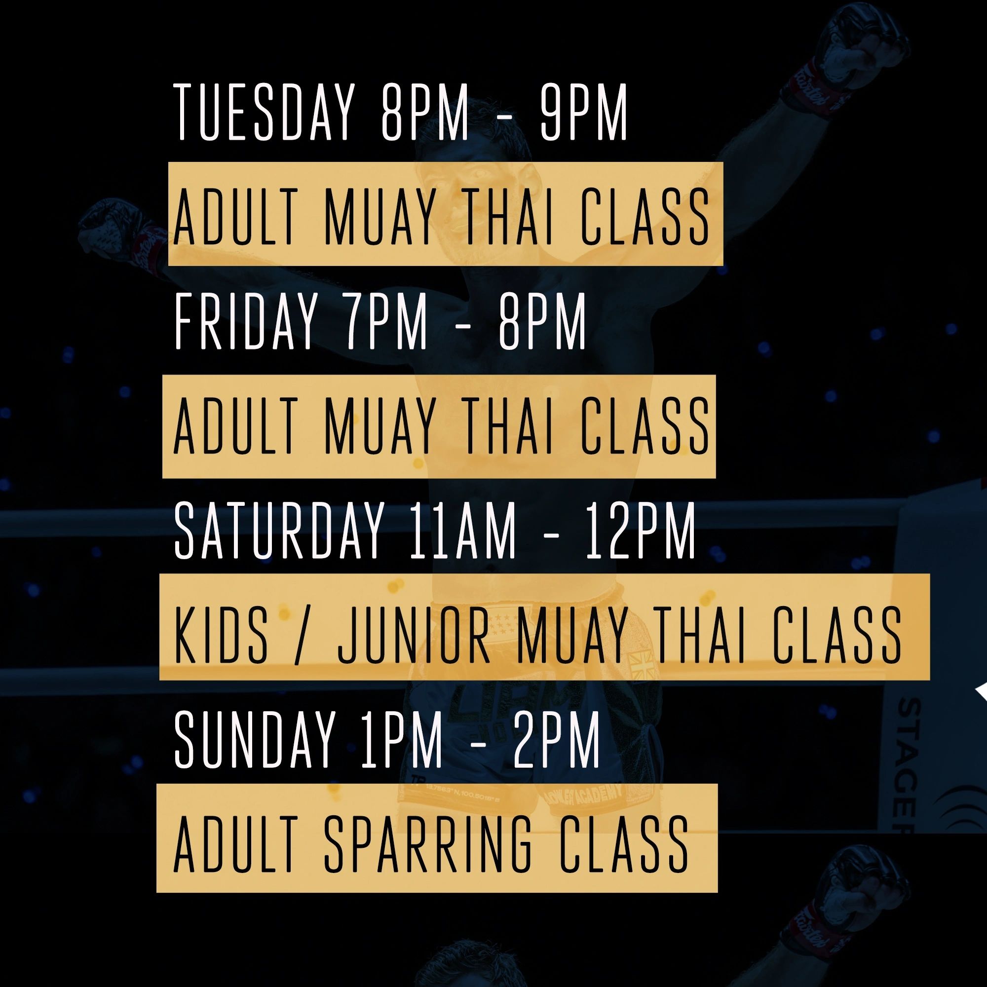 Nolan Muay Thai weekly class timetable at Beckenham Boxing Club